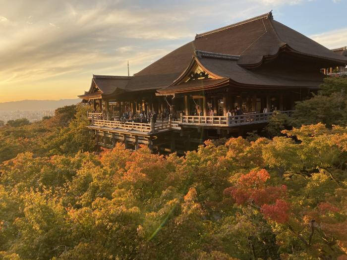 Photograph of a Japanese temple on a forest hillside